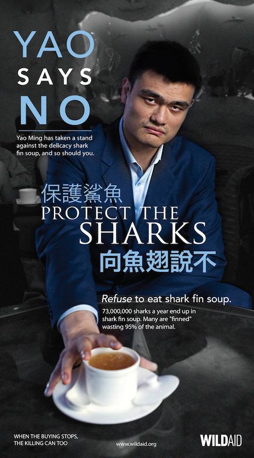 yao ming