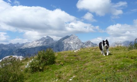 Od višine se zvrti: Slovenci in gore