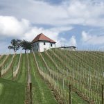 KITana potuje: Slovenske Konjice z okolico